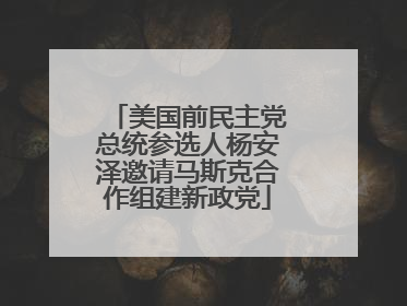 美国前民主党总统参选人杨安泽邀请马斯克合作组建新政党