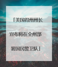 美国得州州长宣布将在全州部署国民警卫队