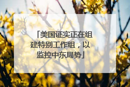 美国证实正在组建特别工作组，以监控中东局势
