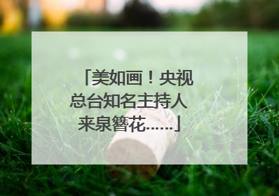 美如画！央视总台知名主持人来泉簪花……