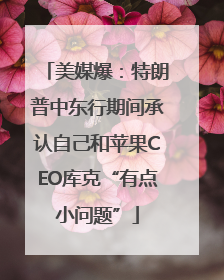 美媒爆：特朗普中东行期间承认自己和苹果CEO库克“有点小问题”