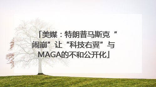 美媒：特朗普马斯克“闹崩”让“科技右翼”与MAGA的不和公开化