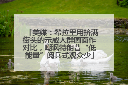 美媒：希拉里用挤满街头的示威人群画面作对比，嘲讽特朗普“低能量”阅兵式观众少