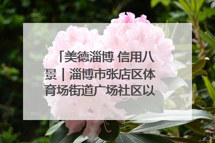美德淄博 信用八景｜淄博市张店区体育场街道广场社区以诚信串起幸福脉络