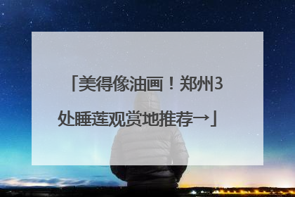 美得像油画！郑州3处睡莲观赏地推荐→
