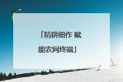 精耕细作 赋能农网终端
