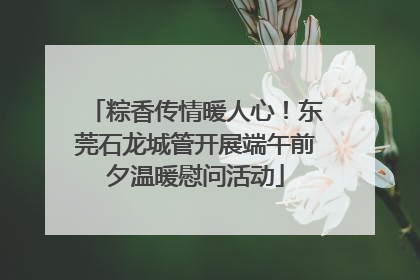 粽香传情暖人心！东莞石龙城管开展端午前夕温暖慰问活动