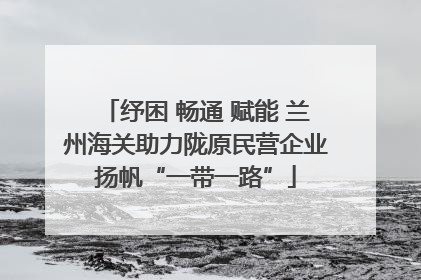 纾困 畅通 赋能 兰州海关助力陇原民营企业扬帆“一带一路”