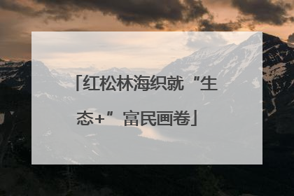 红松林海织就“生态+”富民画卷