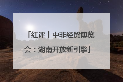 红评丨中非经贸博览会：湖南开放新引擎