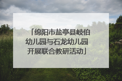 绵阳市盐亭县岐伯幼儿园与石龙幼儿园开展联合教研活动