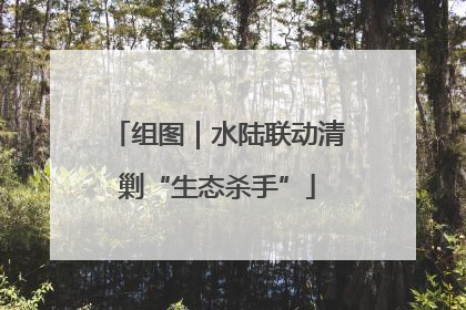 组图｜水陆联动清剿“生态杀手”