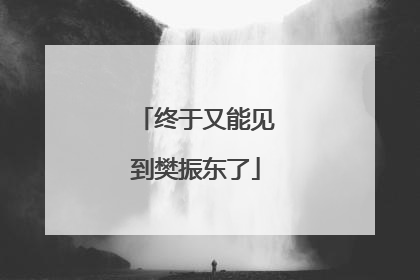 终于又能见到樊振东了