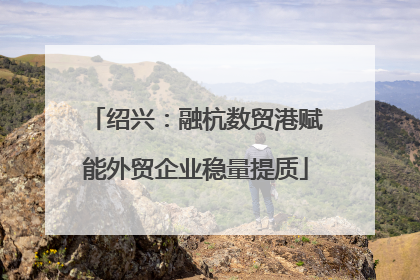 绍兴：融杭数贸港赋能外贸企业稳量提质