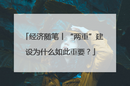 经济随笔丨“两重”建设为什么如此重要？
