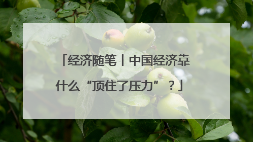 经济随笔丨中国经济靠什么“顶住了压力”？