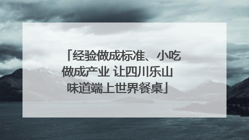 经验做成标准、小吃做成产业 让四川乐山味道端上世界餐桌