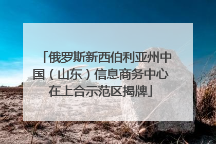 俄罗斯新西伯利亚州中国（山东）信息商务中心在上合示范区揭牌