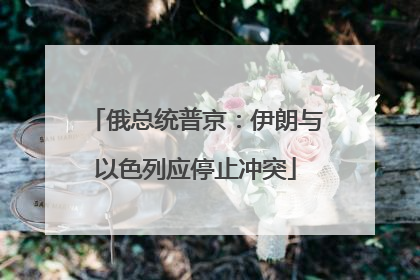 俄总统普京：伊朗与以色列应停止冲突