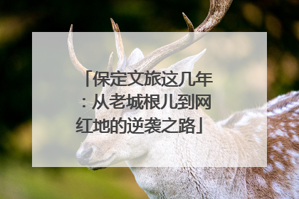 保定文旅这几年：从老城根儿到网红地的逆袭之路
