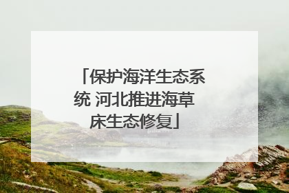 保护海洋生态系统 河北推进海草床生态修复