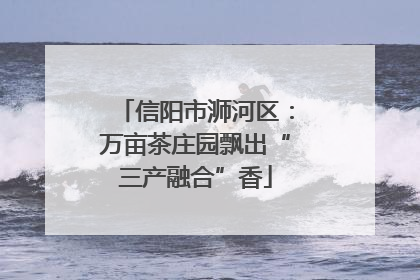 信阳市浉河区：万亩茶庄园飘出“三产融合”香