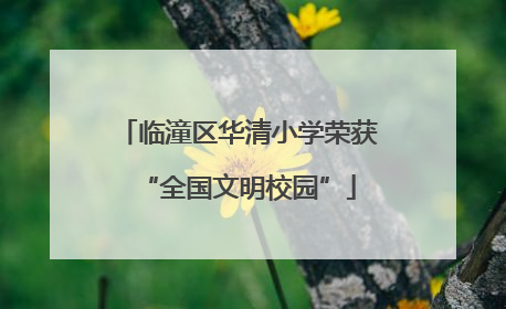 临潼区华清小学荣获“全国文明校园”