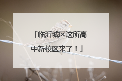 临沂城区这所高中新校区来了！