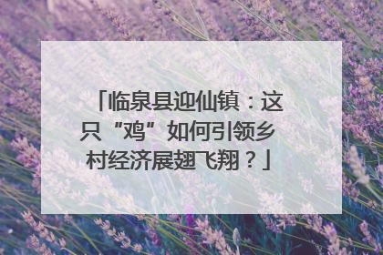 临泉县迎仙镇：这只“鸡”如何引领乡村经济展翅飞翔？