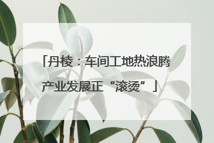 丹棱：车间工地热浪腾产业发展正“滚烫”