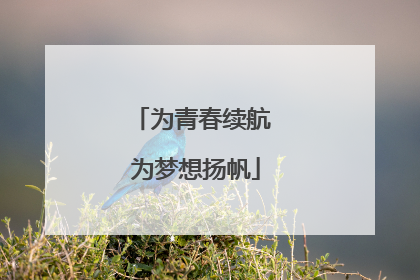 为青春续航 为梦想扬帆
