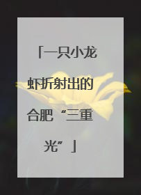 一只小龙虾折射出的合肥“三重光”