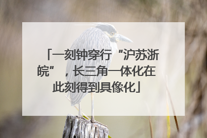 一刻钟穿行“沪苏浙皖”，长三角一体化在此刻得到具像化