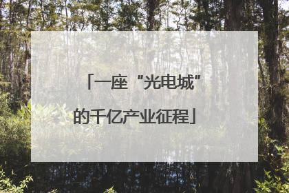 一座“光电城”的千亿产业征程
