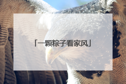 一颗粽子看家风