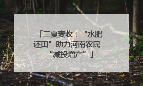 三夏麦收：“水肥还田”助力河南农民“减投增产”