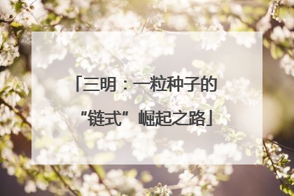 三明：一粒种子的“链式”崛起之路
