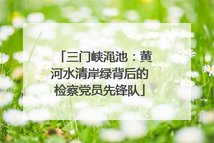 三门峡渑池：黄河水清岸绿背后的检察党员先锋队