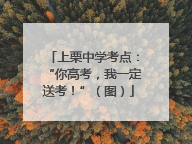上栗中学考点：“你高考，我一定送考！”（图）