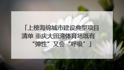 上榜海绵城市建设典型项目清单 重庆大田湾体育场既有“弹性”又会“呼吸”