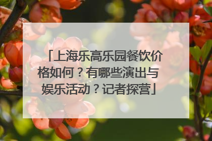 上海乐高乐园餐饮价格如何？有哪些演出与娱乐活动？记者探营