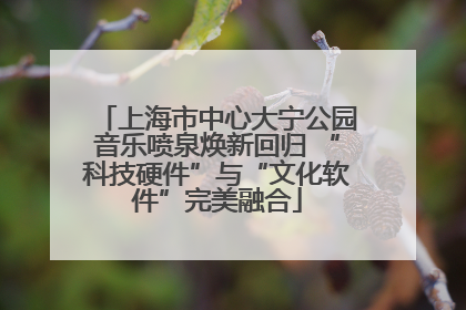 上海市中心大宁公园音乐喷泉焕新回归 “科技硬件”与“文化软件”完美融合