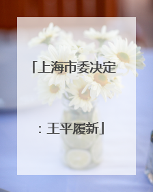 上海市委决定：王平履新