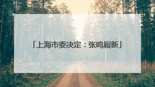 上海市委决定：张鸣履新