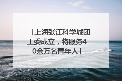 上海张江科学城团工委成立，将服务40余万名青年人