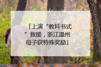 上演“教科书式”救援，浙江温州母子获特殊奖励