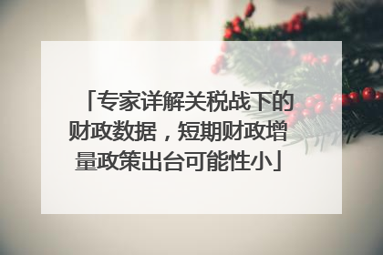 专家详解关税战下的财政数据，短期财政增量政策出台可能性小