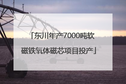 东川年产7000吨软磁铁氧体磁芯项目投产