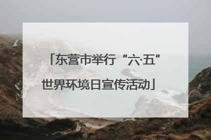 东营市举行“六·五”世界环境日宣传活动