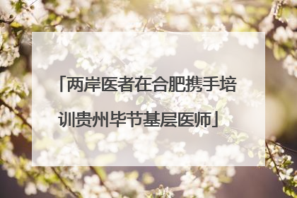 两岸医者在合肥携手培训贵州毕节基层医师